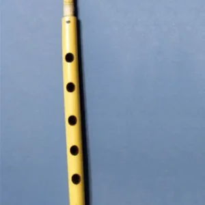 دانلود دوره کامل و ویدیویی آموزش نی تکی